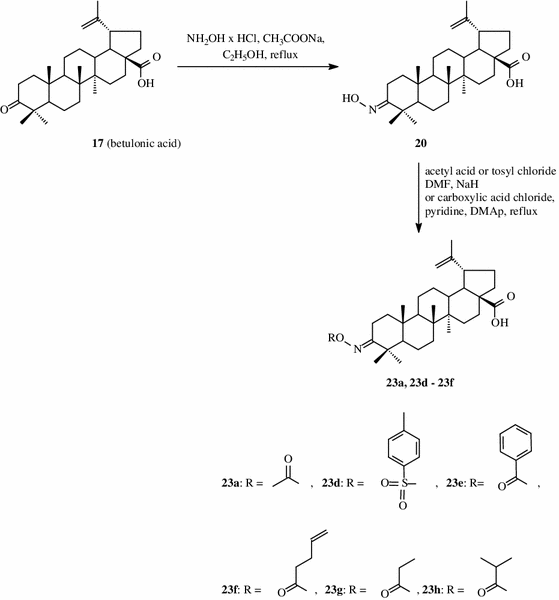 scheme 4