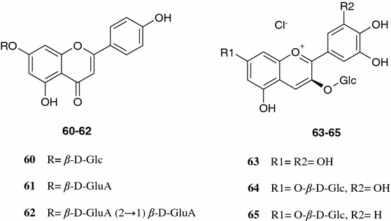 Phytochemical Profile Of Paulownia Tomentosa Thunb Steud Springerlink