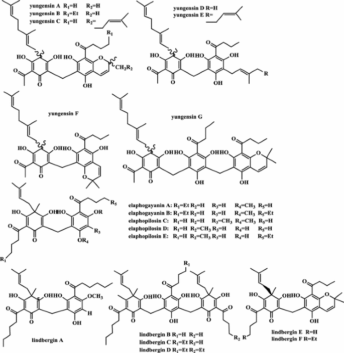 Phytochemicals From Fern Species Potential For Medicine Applications Springerlink