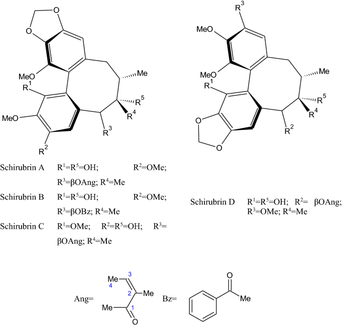 Phytochemical Studies And Biological Activity Of Three Chinese Schisandra Species Schisandra Sphenanthera Schisandra Henryi And Schisandra Rubriflora Current Findings And Future Applications Springerlink Phytochemical Studies And Biological Activity Of Three Chinese Schisandra Species Schisandra Sphenanthera Schisandra Henryi And Schisandra Rubriflora Current Findings And Future Applications Springerlink