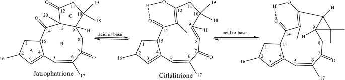 figure 8