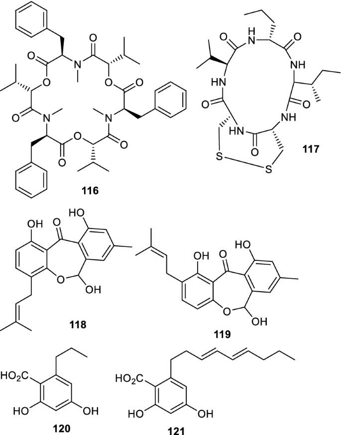 figure 22