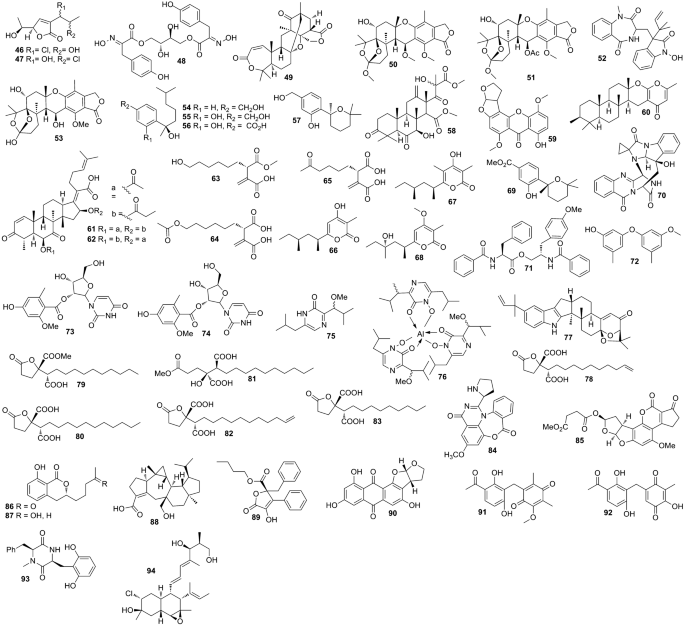 Antimicrobial Compounds From Marine Fungi Springerlink