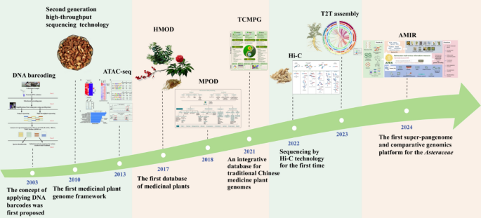 Medicinal plants and human health: a comprehensive review of bioactive  compounds, therapeutic effects, and applications | Phytochemistry Reviews |  Springer Nature Link