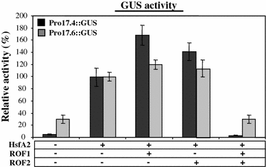 Involvement Of Arabidopsis Rof2 Fkbp65 In Thermotolerance Springerlink