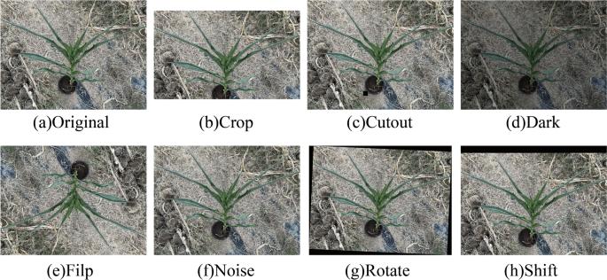 figure 14