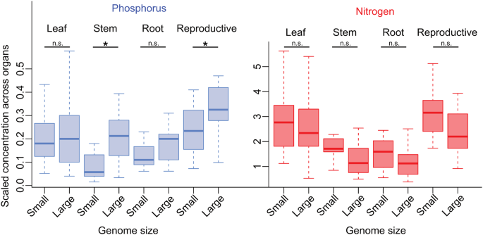 Exploring the complexity of genome size reduction in angiosperms ...