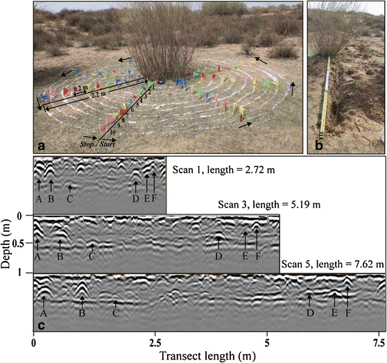 Application of ground penetrating radar for coarse root detection and  quantification: a review | SpringerLink