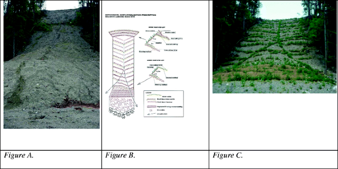 A Practical Guide for Erosion Control Biotechnical and Soil Bioengineering Slope Stabilization