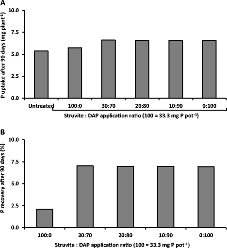 Struvite A Slow Release Fertiliser For Sustainable Phosphorus Management Springerlink