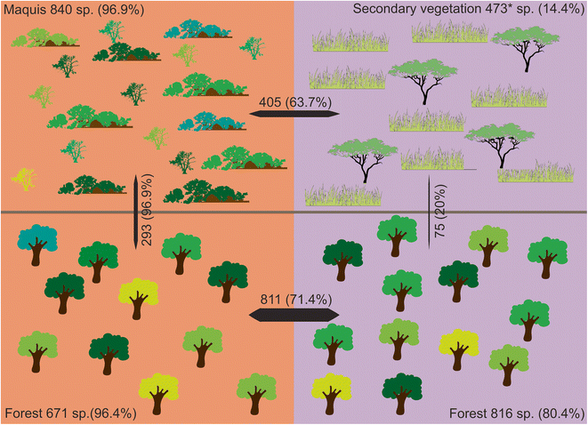 How Did The Ultramafic Soils Shape The Flora Of The New Caledonian Hotspot Springerlink