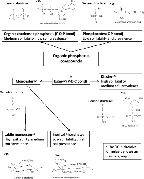 Organic Phosphorus In The Terrestrial Environment A Perspective On The State Of The Art And Future Priorities Springerlink