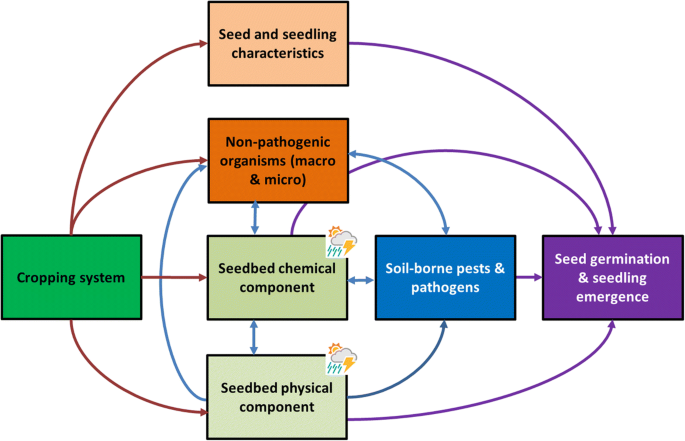 Abiotic And Biotic Factors Affecting Crop Seed Germination And Seedling Emergence A Conceptual Framework Springerlink Abiotic And Biotic Factors Affecting Crop Seed Germination And Seedling Emergence A Conceptual Framework Springerlink