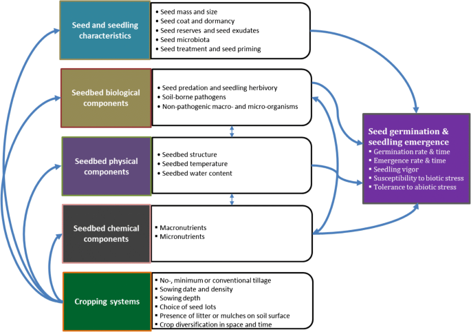 Abiotic And Biotic Factors Affecting Crop Seed Germination And Seedling Emergence A Conceptual Framework Springerlink Abiotic And Biotic Factors Affecting Crop Seed Germination And Seedling Emergence A Conceptual Framework Springerlink