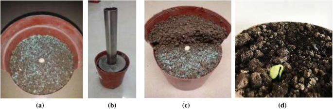 Soils