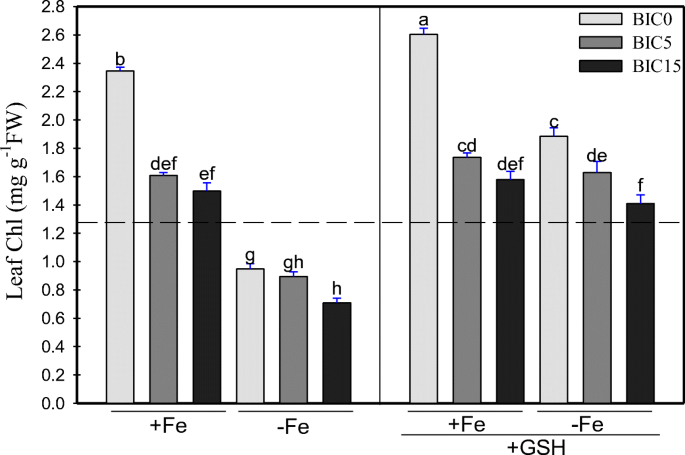glutathione and iron absorption Glutathione supplementation prevents iron deficiency in Medicago scutellata  grown in rock sand under different levels of bicarbonate | Plant and Soil
