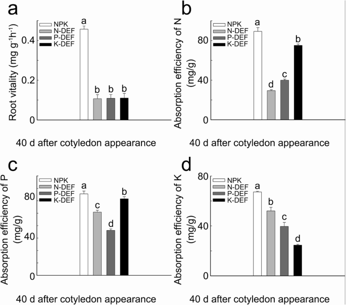 Transcriptome Analysis Of Maize Seedling Roots In Response To Nitrogen Phosphorus And Potassium Deficiency Springerlink