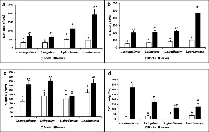 Physiological And Morphological Characterisation Of Limonium Species In Their Natural Habitats Insights Into Their Abiotic Stress Responses Springerlink