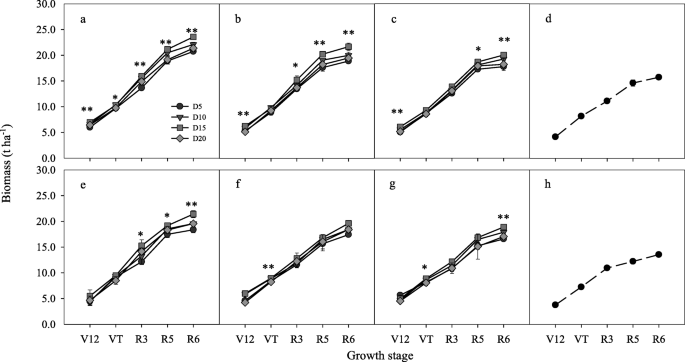 Nitrogen Placement At Sowing Affects Root Growth Grain Yield Formation N Use Efficiency In Maize Springerlink