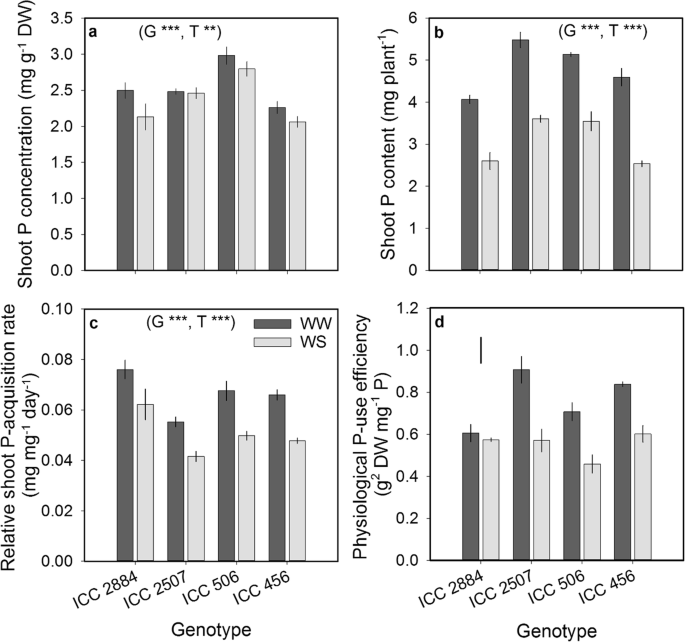 A Significant Increase In Rhizosheath Carboxylates And Greater Specific Root Length In Response To Terminal Drought Is Associated With Greater Relative Phosphorus Acquisition In Chickpea Springerlink A Significant Increase In Rhizosheath Carboxylates And Greater Specific Root Length In Response To Terminal Drought Is Associated With Greater Relative Phosphorus Acquisition In Chickpea Springerlink