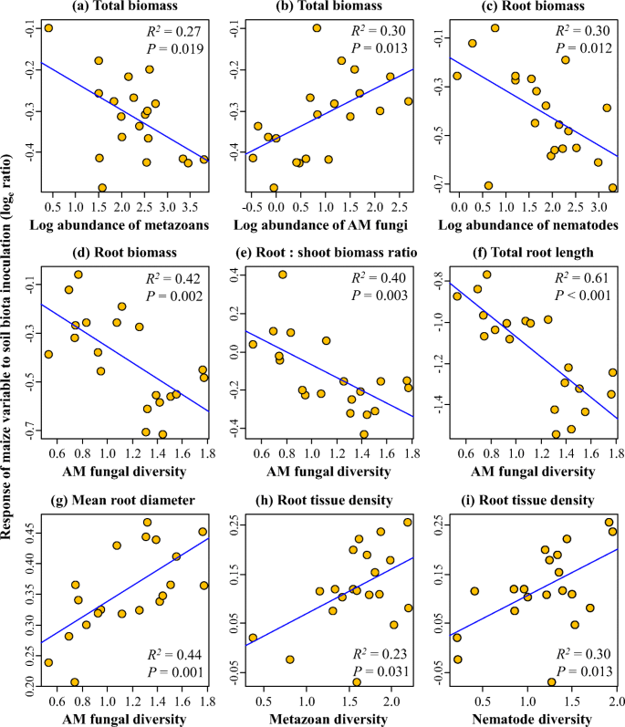 Soil Biota Suppress Maize Growth And Influence Root Traits Under Continuous Monoculture Springerlink