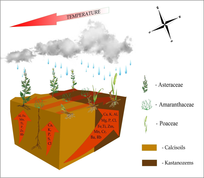 The role of plant in the formation of the topsoil chemical composition in  different climatic conditions of steppe landscape | SpringerLink