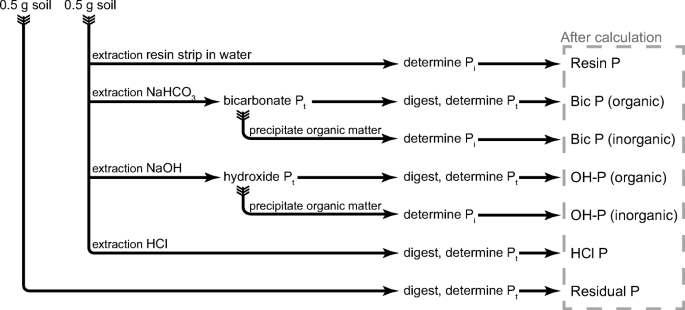 Plastic responses of below‐ground foraging traits to soil phosphorus‐rich  patches across 17 coexisting AM tree species in a subtropical forest - Zhu  - 2023 - Journal of Ecology - Wiley Online Library