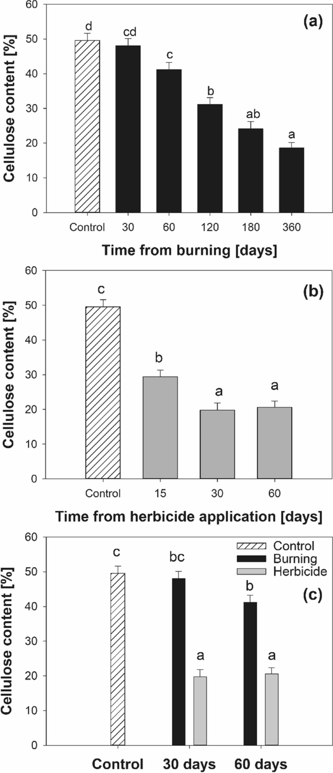 Biomechanical properties of the growing and decaying roots of Cynodon  dactylon | SpringerLink