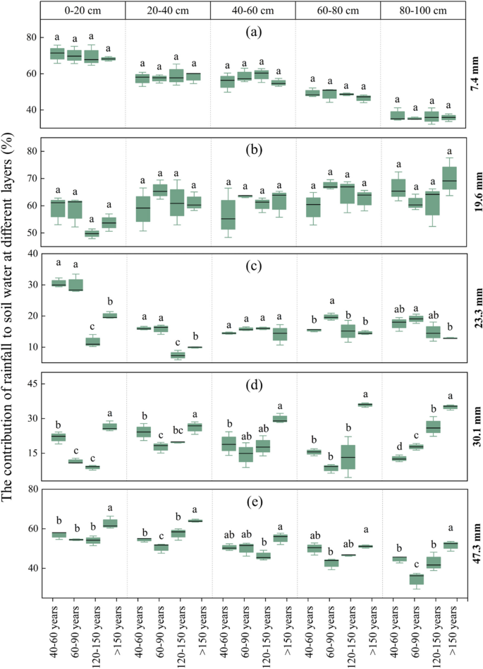 Forest age and precipitation magnitude affected the contribution rate