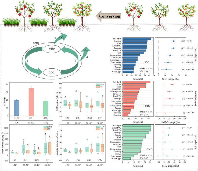 Responses of soil organic carbon, microbial biomass carbon, and ...