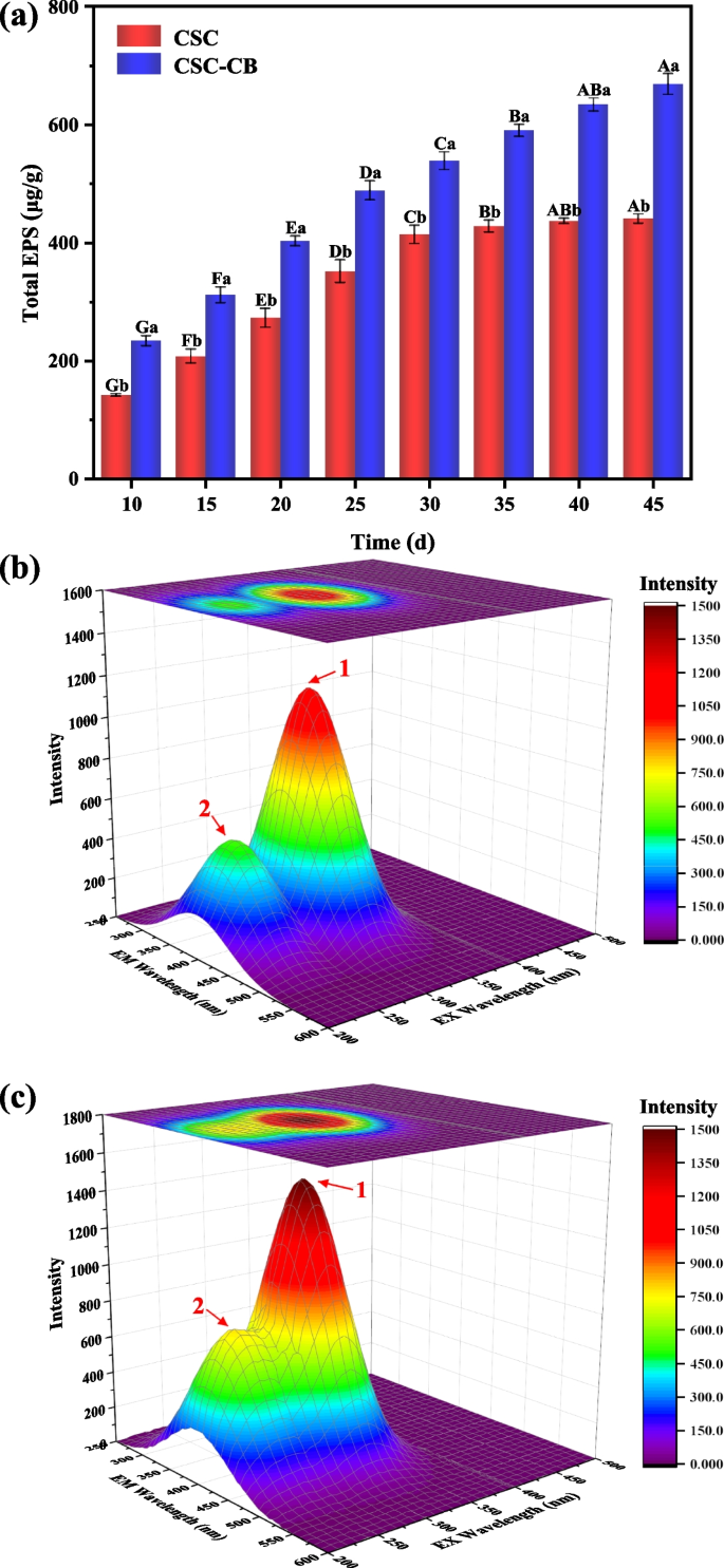 Combining cyanobacteria biocrust and biochar for immobilization of Cd ...