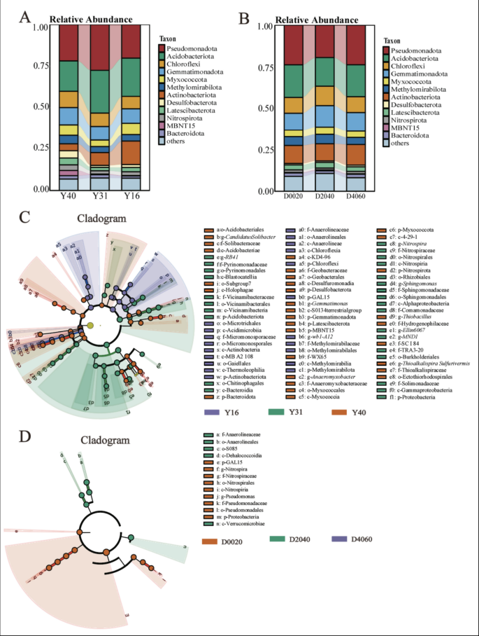 Responses of soil bacterial community structure across mining age and ...