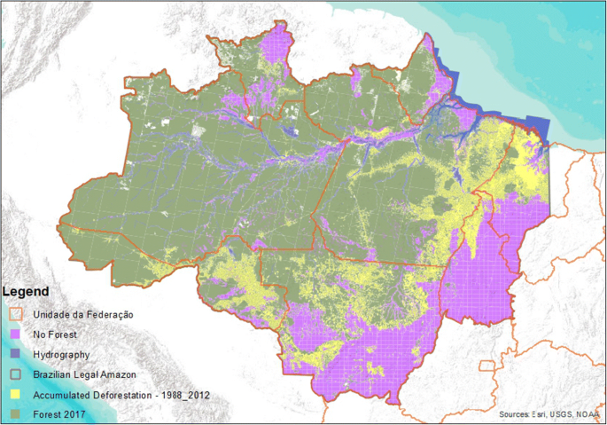 The effect of environmental change on out-migration in the Brazilian Amazon  rainforest | SpringerLink