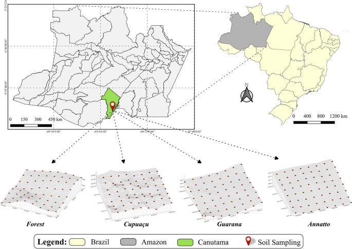 Spatial patterns of magnetic susceptibility optimized by anisotropic  correction in different Alisols in southern Amazonas, Brazil | SpringerLink