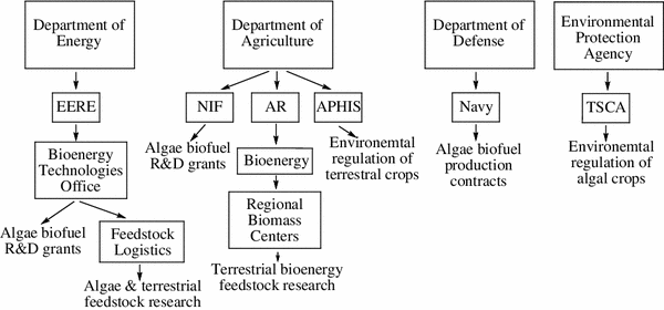 The place of algae in agriculture: policies for algal biomass 