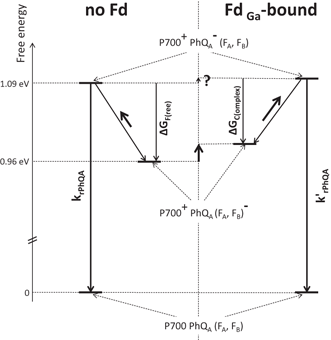 scheme 4