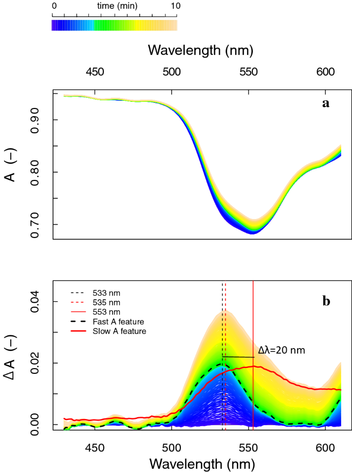 In Vivo Photoprotection Mechanisms Observed From Leaf Spectral Absorbance Changes Showing Vis Nir Slow Induced Conformational Pigment Bed Changes Springerlink