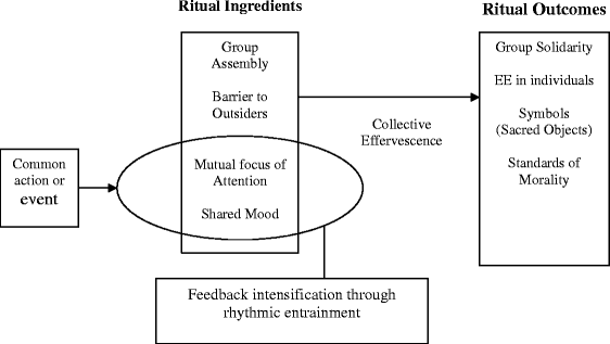 Interaction Ritual Chains And The Mobilization Of Conscientious Consumers Springerlink