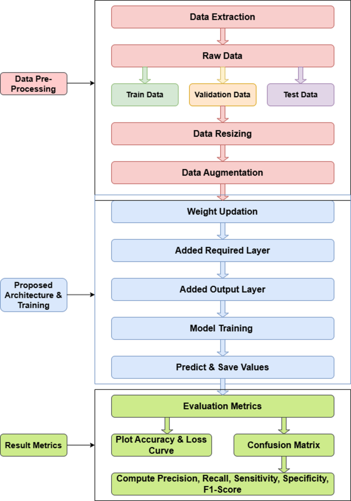EfficientNet-based deep learning approach for early detection of brain ...