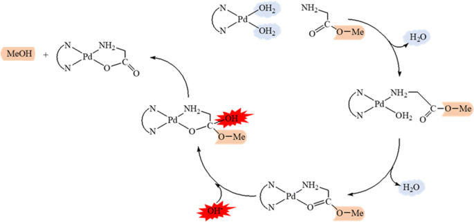 Kinetics, mechanism and density functional theory calculations on base  hydrolysis of α-amino acid esters catalyzed by [Pd(AEMP)(H2O)2]2+ (AEMP =  2-(2-aminoethyl)-1-methylpyrrolidine) | SpringerLink