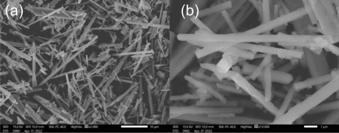 Synthesis of superacid sulfated TiO2 nanowires for esterification of waste  cooking oil | SpringerLink