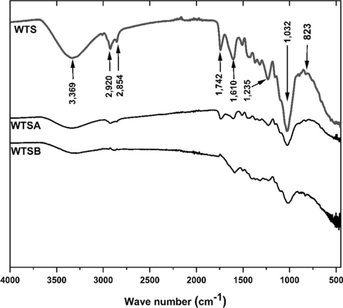 https://media.springernature.com/lw685/springer-static/image/art%3A10.1007%2Fs11144-023-02483-z/MediaObjects/11144_2023_2483_Fig1_HTML.png