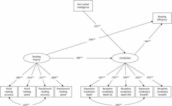 Sample Mimic Notes The role of vocabulary in reading efficiency in Spanish | Reading and ...