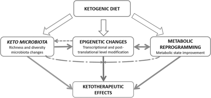 Dysbiosis keto Dysbiosis keto Dysbiosis candida