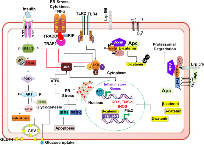 Molecular Prospect Of Type 2 Diabetes Nanotechnology Based Diagnostics And Therapeutic Intervention Springerlink