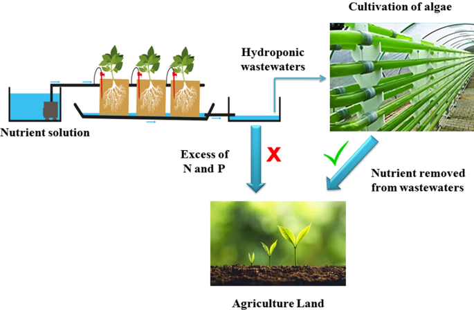 Recent Advances And Perspectives In The Treatment Of Hydroponic Wastewater A Review Springerlink