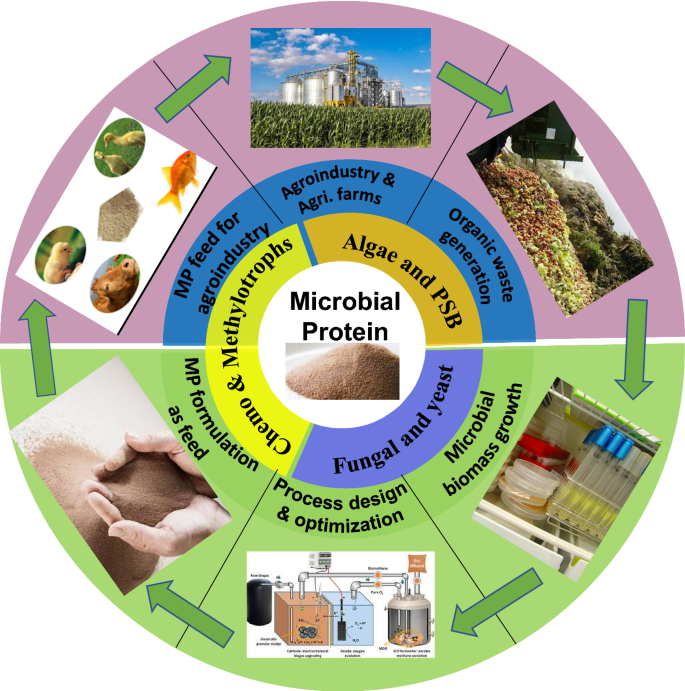 Microbial applications for sustainable space exploration beyond