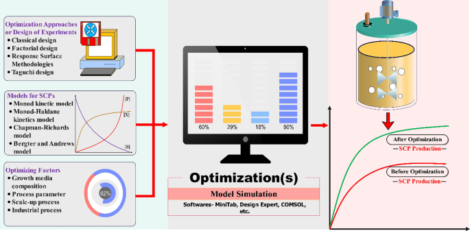 the single case experimental design