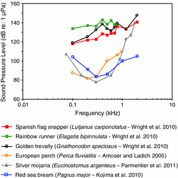 figure 20