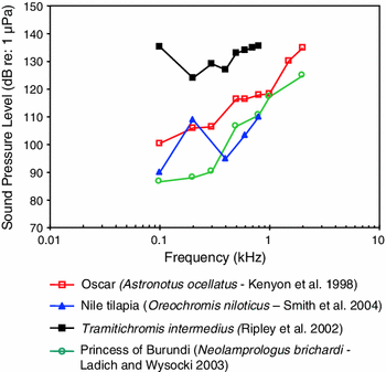 figure 23